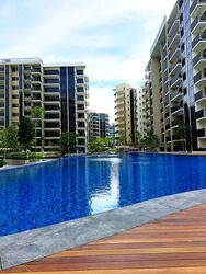 Sengkang Grand Residences (D19), Apartment #563665691
